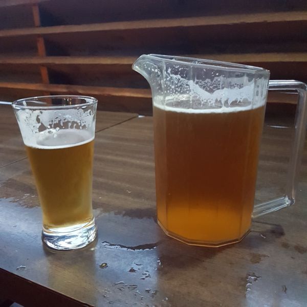 The Albert Sports Bar in Palmerston North, Pokies Near Me